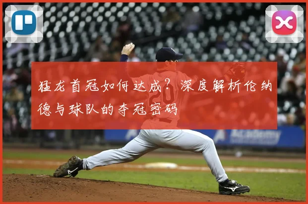 猛龙首冠如何达成?深度解析伦纳德与球队的夺冠密码